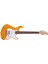 Elektro Gitar Amber 1