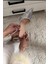 Lady Gümüş Nude Kristal Taşlı Cam Kırığı Şeffaf 8 cm Şeffaf Kadeh Topuklu Düğün Nişan Abiye Ayakkabı 3