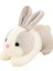 Renkli Tavşan Çocuk Doğum Günü Hediyesi Kız Peluş Oyuncak Tavşan Peluş Küçük Tavşan Bebek 35 cm (Yurt Dışından) 1