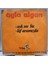 Ayla Algan – Aşk Mı Bu / Laf Aramızda 45LİK 1