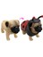 Dress Your Puppy Sevimli Köpeğine Kostüm Giydir 12 Numara 1