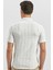 Bej Kısa Kollu Çizgili Armürlü Pamuklu Casual Slim Fit Dar Kesim Gömlek 1004240245 5