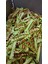 Aydopak Sarı Kırmızı Taraftar Stick Toz Şeker 3gr/ 100 Adet 4