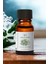 Snow Flower Aromaterapi Uçucu Yağ Esansiyel Buhurdanlık Yağı 10ML 3