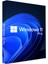 Windows 11 Pro 32 Bit/64 Bit Lisans Key 1