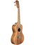 ACST-C Acacia Concert Ukulele 2