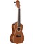 LU21-C Concert Ukulele 2
