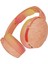 Hesh Evo Triple Threat Sunset Kablosuz Kulaklık 1