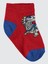 Erkek Çocuk 3'lü Çorap 2-12 Yaş Standart 3