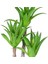 Yapay Sukulent Dal 3 Agave'li Yeşil 38 Cm. 2