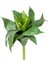 Yapay Kaktüs Sukulent Agave Yeşil 28 Cm. 1