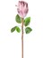 Yapay Protea Bitkisi Mor 67 Cm. 1
