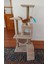 Kedi Evi ve Kedi Tırmalama %100 Müşteri Memnuniyeti 2