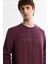 Erkek Bordo Bisiklet Yaka Pamuklu Baskılı Elastan Sweatshirt A42Y1267 2