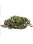 Karahindiba Kurutulmuş Bitki Taraxacum Officinale 1 kg 4