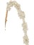 Amaranthus Dal / Gold 107 cm 2