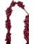 Amaranthus Dal Kırmızı / 107 cm 2