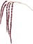 Amaranthus Dal Kırmızı / 107 cm 3
