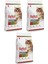 Multicolor Renkli Tavuklu Yetişkin Kedi Maması 2 kg x 3 Paket 1