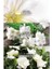 Premiere Lux Kadın Parfüm Edp 50 ml 4