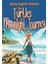 The Turtles' Moonlight Journey - Şenay Değerli Türkmen 1