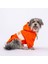 PawStar Turuncu Cute Hoodie Küçük ve Orta Irk 1