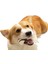 Pet Oyuncak Diş Temizleme Çubuğu Çiğneme Köpek Oyuncak (Yurt Dışından) 4