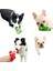 Evcil Hayvan Oyuncakları Ses Isırmaya Dayanıklı Interaktif Köpek Oyuncağı Köpek Yavrusu Teddy Orta ve Büyük Köpek Oyuncağı (Yurt Dışından) 3