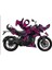 Bajaj N250 Airbrush Tasarım Motosiklet Sticker Etiket Kaplama Modeli 2