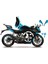 Cfmoto 250SR Mavi Punısher Model Parçalı Motosıklet Kaplama Stıcker Etıket Modelı 1