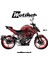 Cf Moto NK250 Sticker Venom Parça Etiket Kaplama Modeli 1