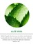 Organik Prebiyotik Aloe Vera Sprey 140 ml 3