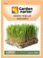 Garden Narter Mikro Yeşillik İçin Microgreen Organik Siyez Buğdayı Tohumu 50 gr 1200 Tohum 1