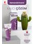 3'lü Set Hemorox - H.emoroid Kremi ( 3 Adet x 50 ML ) 4
