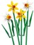 Nessiworld 40747 Lego® Iconic Botanical Collection Nergis 247 Parça +8 Yaş 2