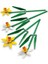 Nessiworld 40747 Lego® Iconic Botanical Collection Nergis 247 Parça +8 Yaş 3