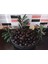 Siyah Zeytin Yeni Mahsul 1 kg 1