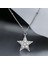 Swarovski Yıldız Kolye 925 Gümüş (Altın Kaplama) 1