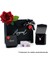 Swarovski Yıldız Kolye 925 Gümüş (Altın Kaplama) 2