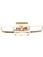 Dorbıen AR-6101-4BKR Modern Avize 3 Renk LED Tr 1