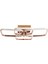 Dorbıen AR-6101-4BKR Modern Avize 3 Renk LED Tr 2
