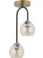 Dorbıen FZ-7450-2E Modern Avize Eskitme/siyah Kaplama 1