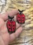 2 Adet Ütü Ile Yapışan Uğur Böceği Arma Set Dikiş Aplike 4x3 cm 3