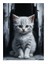 Masum Beyaz Kedi Modern Ahşap Tablo 18cm X 27cm 1