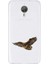 General Mobile Gm5 Plus Uyumlu Uçan Kartal Desenli Silikon Kılıf 1