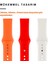 Üçlü Set | Apple Watch 3 4 5 6 7 8 9 Se 38-40-41 mm ve Series 10 (42 Mm) Uyumlu Silikon Kordon Seti 3