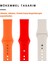 Üçlü Set | Apple Watch 3 4 5 6 7 8 9 Se 38-40-41 mm ve Series 10 (42 Mm) Uyumlu Silikon Kordon Seti 3