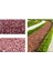 Dolomit Taşı Bordo 2-4 cm 20 kg Doğal Dekorasyon Taşı 1