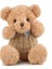 Sevimli Peluş Bebek Oyuncak Ayıcık (Yurt Dışından) 1