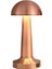 Masa Lambasi CT-8430 Tek Anahtarla 3 Renk 2